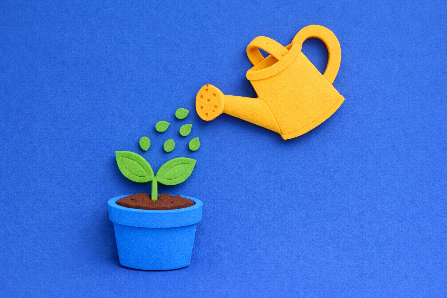 Attribution-Based Budgeting: Fund Channels That Convert